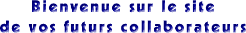 Bienvenue sur le site de vos futurs collaborateurs